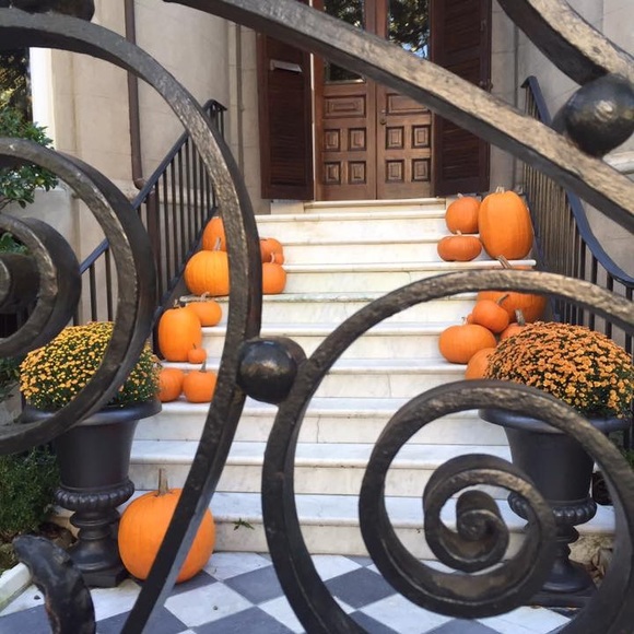 Meet your Posher, Robin - Picture 1 of 1